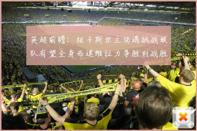 英超前瞻：纽卡斯尔主场遇挑战狼队有望全身而退维拉力争胜利战胜埃弗顿